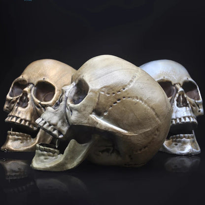 Skull Prop- Plastic Skeleton  Head Halloween Décor