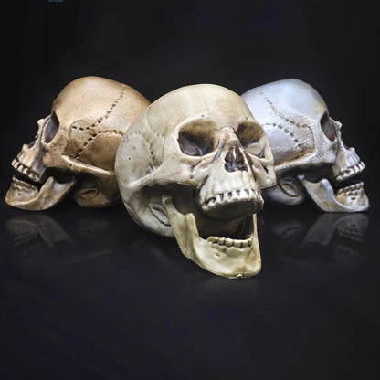 Skull Prop- Plastic Skeleton  Head Halloween Décor