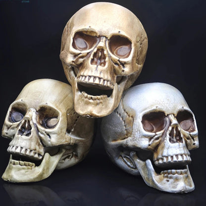 Skull Prop- Plastic Skeleton  Head Halloween Décor