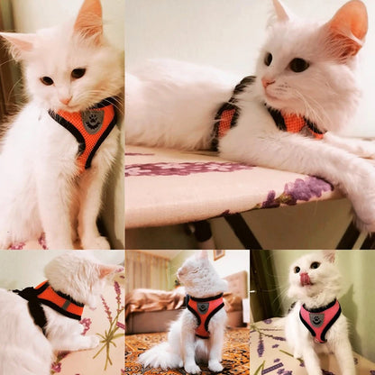 Cat Harness Vest - S