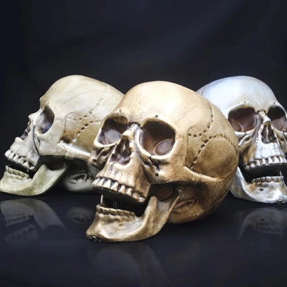 Skull Prop- Plastic Skeleton  Head Halloween Décor