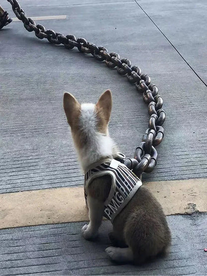 Simulated Iron Chain Leash