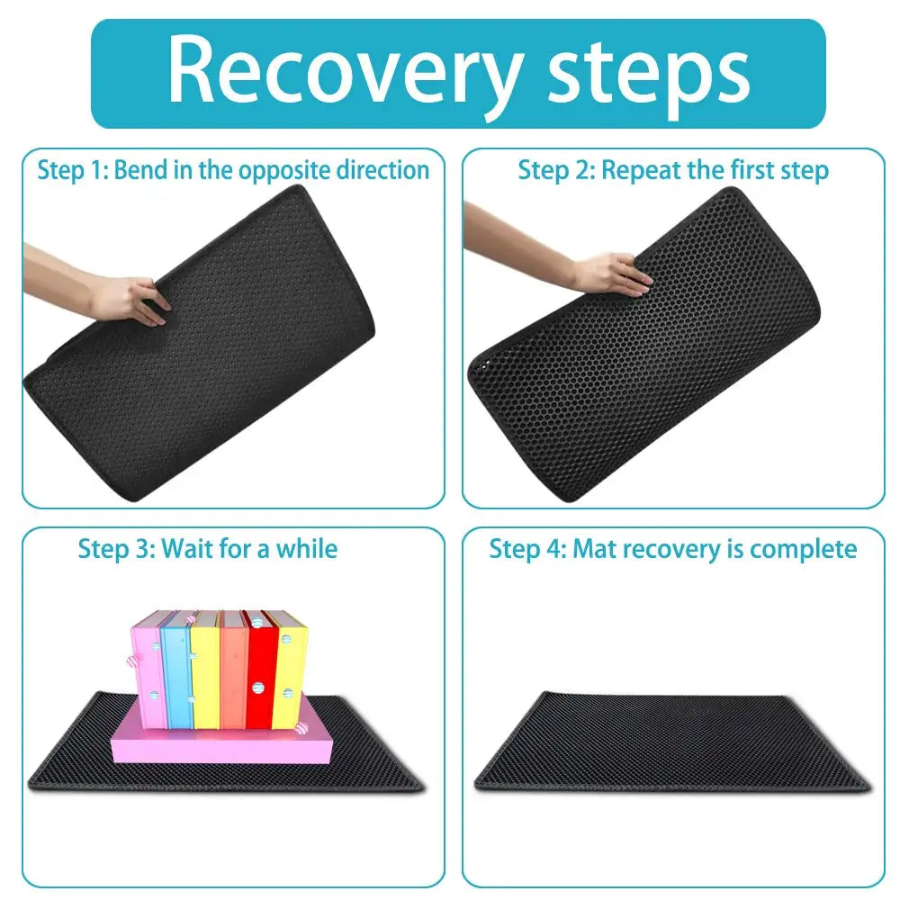 Cat Litter Mat -30x30 Recovery Steps