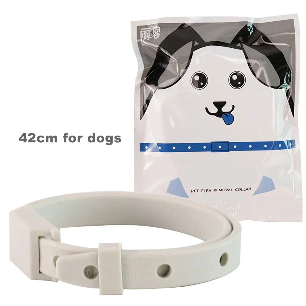 Anti-Flea Pet Collar Dog