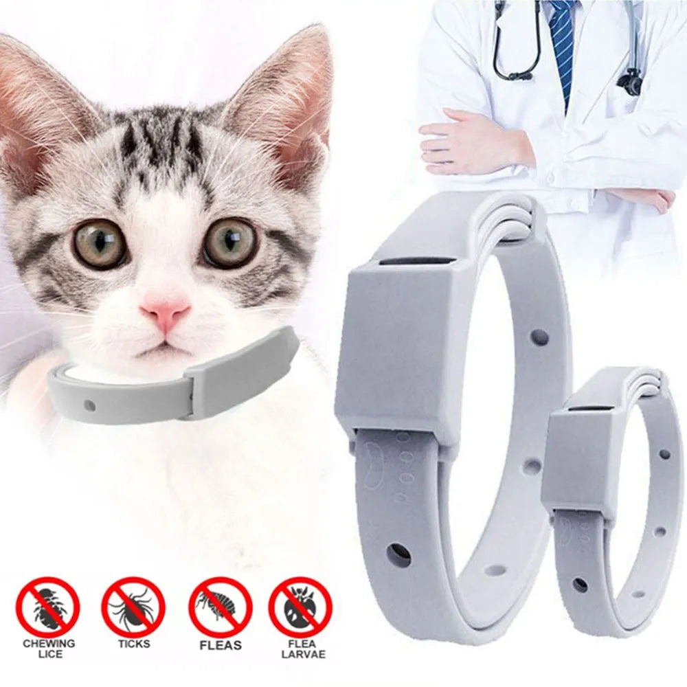 Anti-Flea Pet Collar