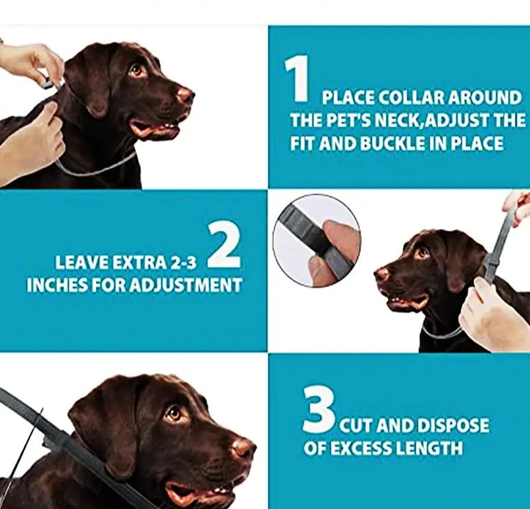 Anti-Flea Pet Collar