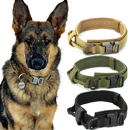 Dog Collar Brown, Green, Black