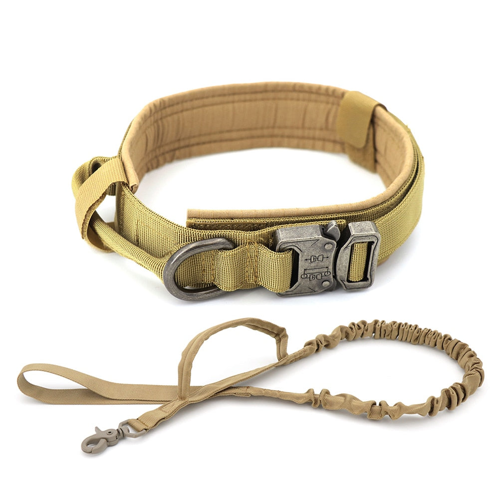 Dog Collar, Brown