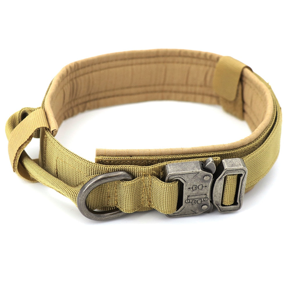 Dog Collar, Brown