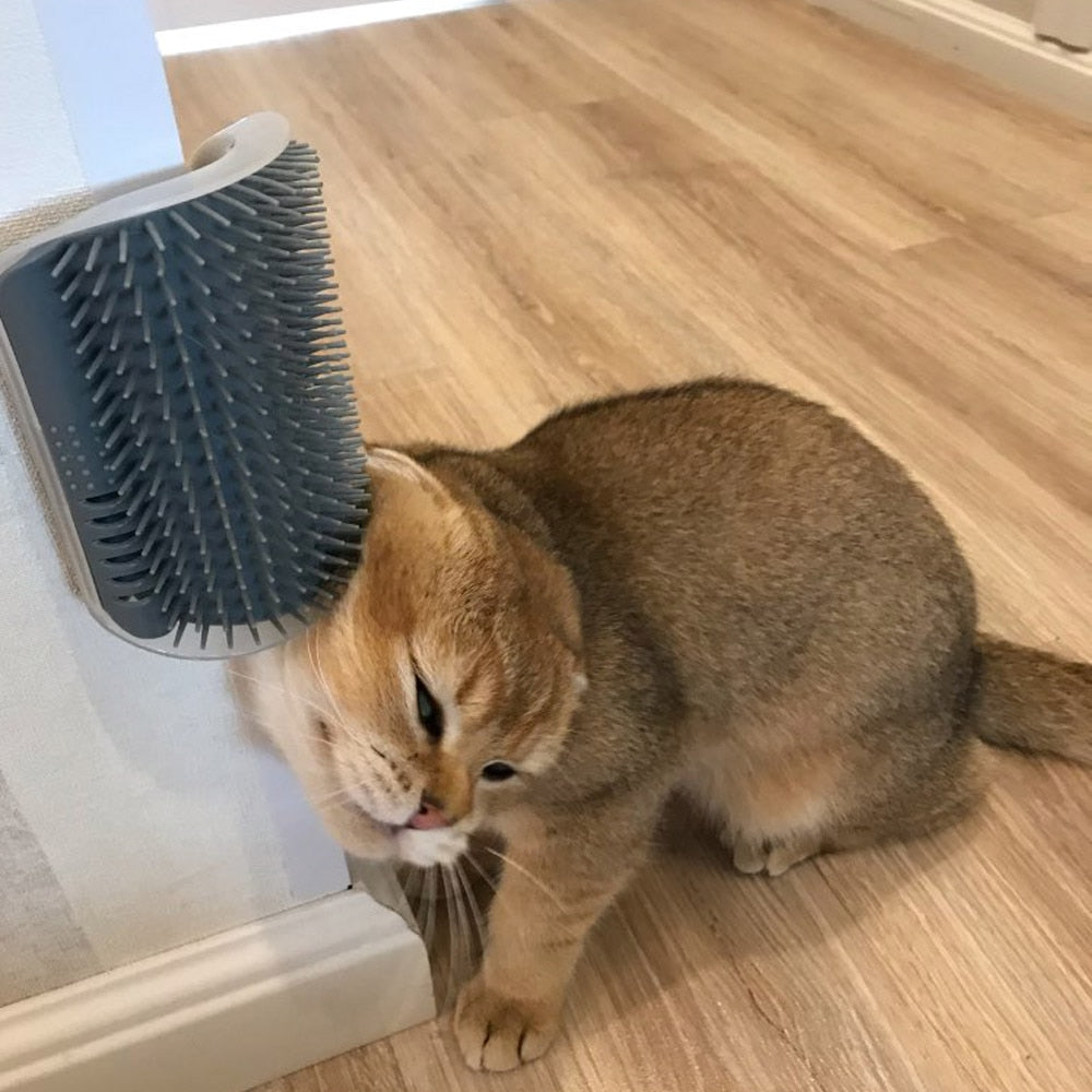 Feline Groom Corner Brush Demonstration