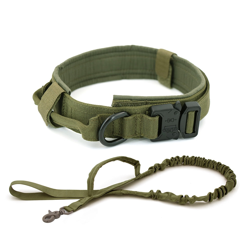 Dog Collar, Green