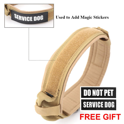 Dog Collar 