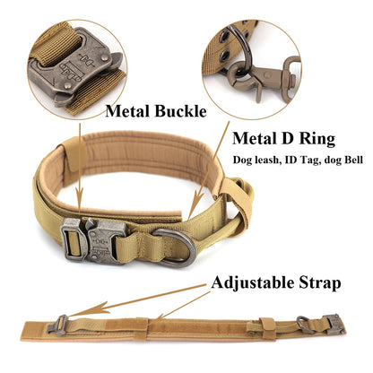 Dog Collar Metal Buckle