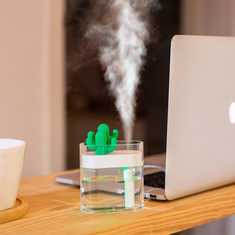 160ml USB Humidifier & Diffuser