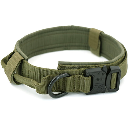 Dog Collar, Green